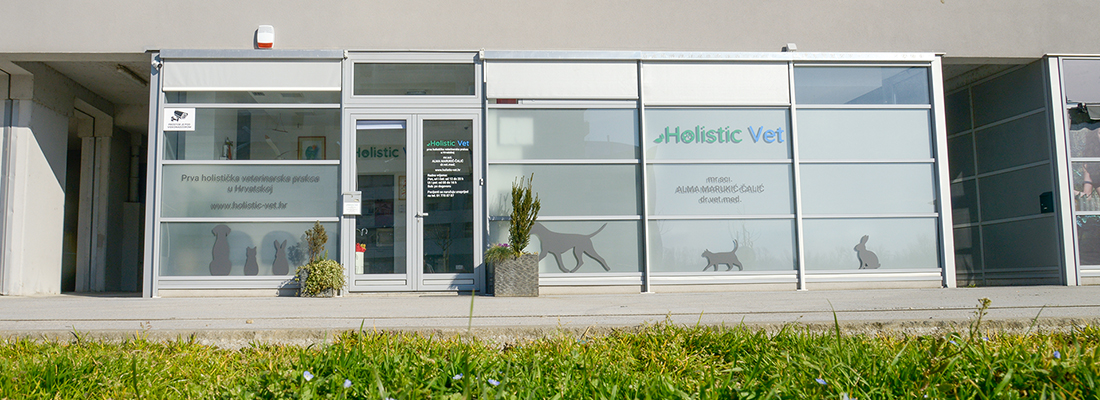 holistic vet