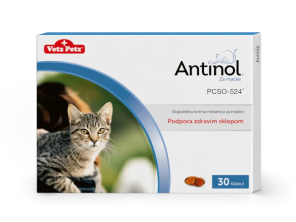 antinol za macke